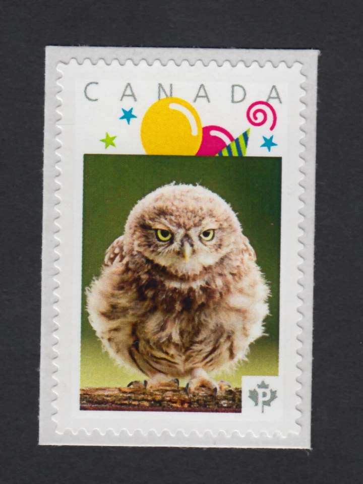 Búho enojado, búho = sello postal con foto MNH Canadá 2015 [p15/31ow4/3] Foto 1 de 2