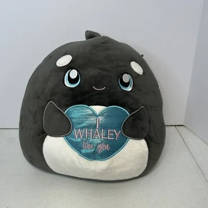 12" Kai Whale Plush I Whaley Like You Squishmallow - Picture 1 of 5
