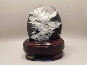 Chrysanthemum Stone 5.5 inch on Wood Base Natural Rock #O4 - Picture 1 of 6