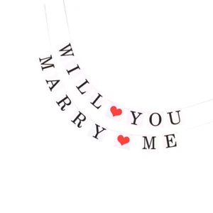 Wedding Party Bunting Décor Will You Marry Me Garland Marriage Proposal Banner - Picture 1 of 11