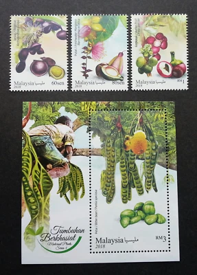 *FREE SHIP Malaysia Medicinal Plants IV 2018 Fruits Food Flower (ms + stamp) MNH - Image 1 of 4