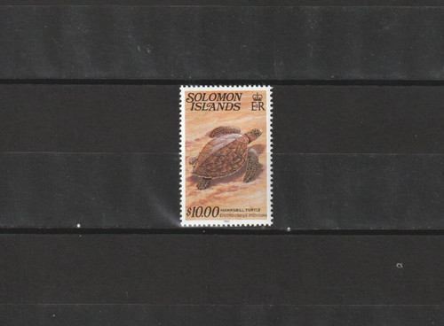 Foto 1 di 1