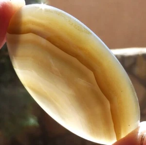 NATURAL hand cut BROWN banded Agate cabochon from Brazil (44.25 cts.) - Picture 1 of 9