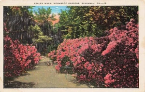 Azalea Walk, Wormsloe Gardens, Savannah, Georgia PC vintage pubblicato 1935 - Foto 1 di 2