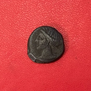 Schöne Bronze Schekel Münze, Karthago, Zeugitane zum entdecken. Eat TB - Bild 1 von 2