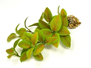 8-9" Long LOW Lt Green-Red Fittonia NERVE Silk Aquarium plant, STONE base, Goldf - Picture 1 of 4
