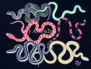 SNAKE GLOW--Viper Boa Serpent Cobra Science Nature Kids T Shirt Youth sizes XS-L - Picture 1 of 2