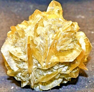FLUO GOLDEN SELENITE GYPSUM BALL 6 X 6 X 6 CM RED RIVER, MANITOBA CANADA #2 - Picture 1 of 3