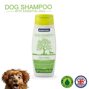 Ancol Tea Tree Hundeshampoo bis zu 20 Wäschen 200ml Welpe Einzel- oder Doppelpack - Bild 1 von 8