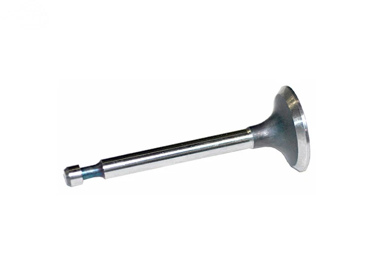 Rotary 2830 Intake Valve for Kohler