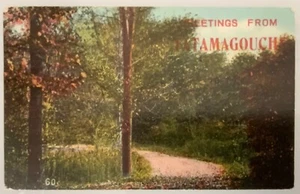 Postal antigua de saludo de Canadá Nueva Escocia desde Tatamagouche # 204 - Imagen 1 de 2
