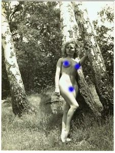 PHOTO EROTIQUE DE NU FEMININ vers 1950 / 53 - Picture 1 of 1