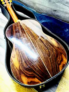 Di Giorgio ESTUDANTE Classical Guitar, Braziliian Rosewood + Case, project? - Picture 1 of 11
