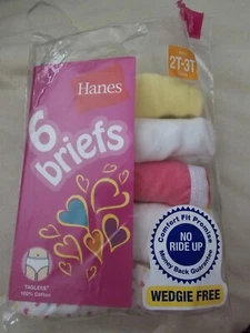 Five Pair (5) Little Girls Briefs 2T - 3T Hanes. New - Picture 1 of 2