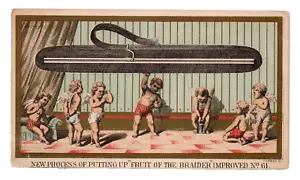 C.1890 Willimantic Fruit of Braider Alpaca Oro Medalla Trenza Tarjeta Comercial Querubines - Imagen 1 de 2