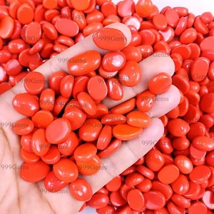 25 Pcs Synthetic Moonga Red Coral Oval Shape Loose Cabochon Gemstone Lot 12-15mm - Picture 1 of 10