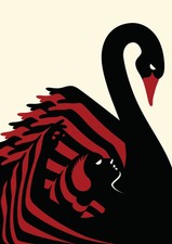 195733 BLACK SWAN MOVIE Wall Print Poster CA