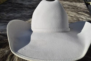 Cinch Men's Platinum Felt Cowboy Western Hat Green label Size 7 3/8” - Picture 1 of 14