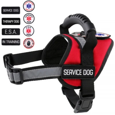 Service Dog - Therapy Dog - Support Dog Vest Patches Harness ALL ACCESS CANINE™  - Image 1 of 4