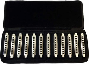 EASTTOP Diatonic Blues Harmonica Set of 12 Professional Diatonic Mouth Organ Set - Picture 1 of 5