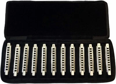 EASTTOP Diatonic Blues Harmonica Set of 12 Professional Diatonic Mouth Organ Set - Image 1 of 4