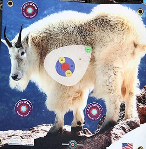 ARROWMAT - ¡MÁS DISPAROS! ¡CABRA DE MONTAÑA CON ZONA DE PUNTUACIÓN! 17""X 17"" - Imagen 1 de 1
