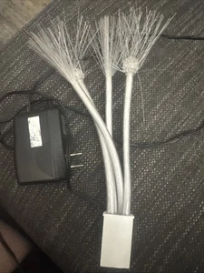 Adaptateur secteur 12V et remplacement fibre optique uniquement Avon Patriotic Lighted House LIRE - Photo 1/4