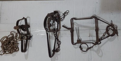 Lot Of (3) Vintage Rusty Victor Leg Traps (2) & Body Trap (1) Unsure Of Brand - Image 1 of 4