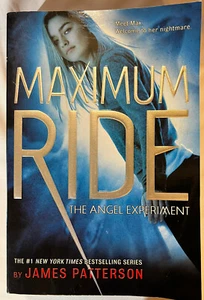 Das Engelsexperiment: Ein maximaler Fahrroman (Buch 1) - Taschenbuch - GUT - Bild 1 von 5