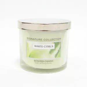 Bath Body Works White Citrus Single Wick Scented Candle 4oz Slatkin & Co - Picture 1 of 6