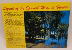 Legende vom spanischen Moos Florida Postkarte - Bild 1 von 2