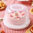Cake Carrier with Handle Portable Cake Box for Doughnuts Fruits Kitchen
