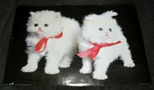 Póster de tendencias blanco esponjoso de gatitos años 90 cinta roja lindo gato gemelo Canadá en muy buen estado - Imagen 1 de 1