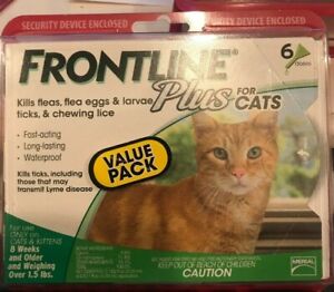 Frontline Plus for CATS 8 WEEKS  6 Doses GENUINE FACTORY SEALED FREE SHIP OBX
