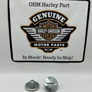 Harley-Davidson 17448–57 screw rocker arm Shaft End5/16”-24. FL 66-e71. XL 57-71 - Picture 1 of 4