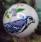 .99" 🌲🐦🌿 BLUE JAY Bird ❄️ Nature Forest Contemporary Swirl Art Glass MARBLES