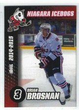 2014-15 Niagara Icedogs (OHL) Brian Brosnan