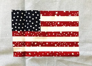 Fabric Strip 7 American Flags Sunham Home Fashions 6" x 4" Cloth Appliqué - Picture 1 of 4