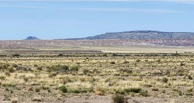 Arizona Ranch Land 80 acres - 9 millas al norte de Holbrook, 250 USD/mes Foto 1 de 4