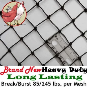 Netting Poultry Anti Bird Aviary Fruit Garden Protection Nets Long Lasting! - Picture 1 of 19