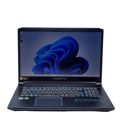 Acer Predator Helios 300 N1813 17,3" i7-10750H 2,6GHz 64GB RAM 1TB RTX 2060 - Bild 1 von 4