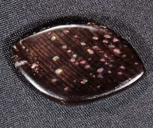 8,7 Karat Opal Conk Holz Cabochon Virgin Valley Nevada - opalisiertes Fossil - Bild 1 von 7