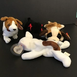 4 TY Beanie Babies Dogs Lot Bernie, Butch, Kippy, Gigi - Picture 1 of 9