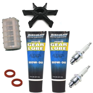KIT DE SERVICIO ANUAL 30HP YAMAHA MARINER 30A 2 TIEMPOS enchufes impulsor fueraborda lubricante - Imagen 1 de 1