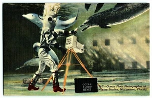 Postcard~ Ocean Floor Photographer~ Marineland, St. Augustine, Florida - Picture 1 of 2