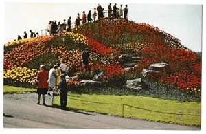 Tulpenberg OTT'S EXOTISCHES GEWÄCHSHAUS Schwenksville Pennsylvania PA Postkarte - Bild 1 von 2