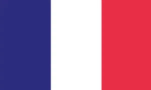 Lot of 10 France Flag Face Stickers 1008 - 1.5" x 2.5" - Picture 1 of 1