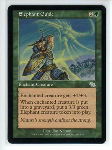 ELEPHANT GUIDE Judgment #111 JUD(NM)(MTG) - Picture 1 of 1