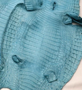 Caiman Skin Leather Aqua Blue Color (100% Genuine skin) - Picture 1 of 4