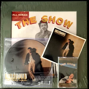 NIALL HORAN "The Show" One Direction Lot Of 4 Items Box Set/Vinyl CD Cassette+ - Picture 1 of 23